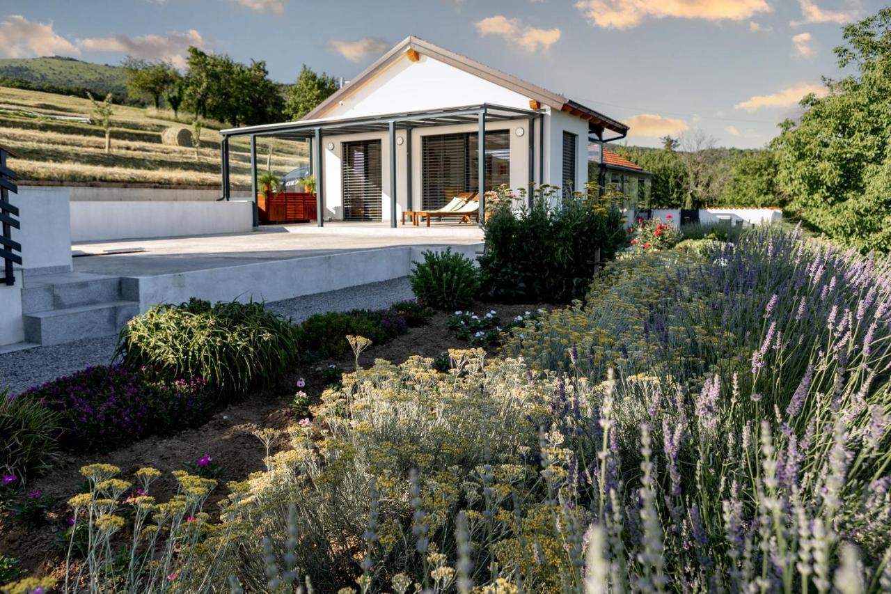 Ferienwohnung Sunny Hill Vremski Britof Exterior foto